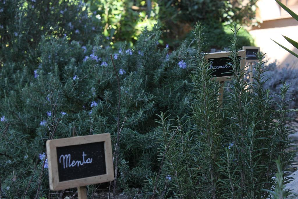 Bed and Breakfast La Caladina Mougins Exterior foto